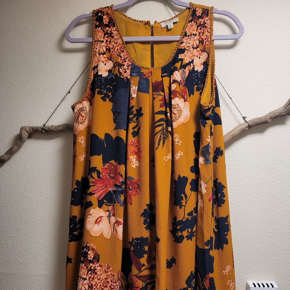 Umgee swing dress